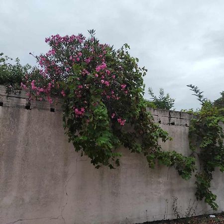 Le Clos Des Coquelicots 툴루즈 외부 사진